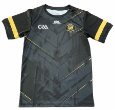 GA Central Sports Training Jsy